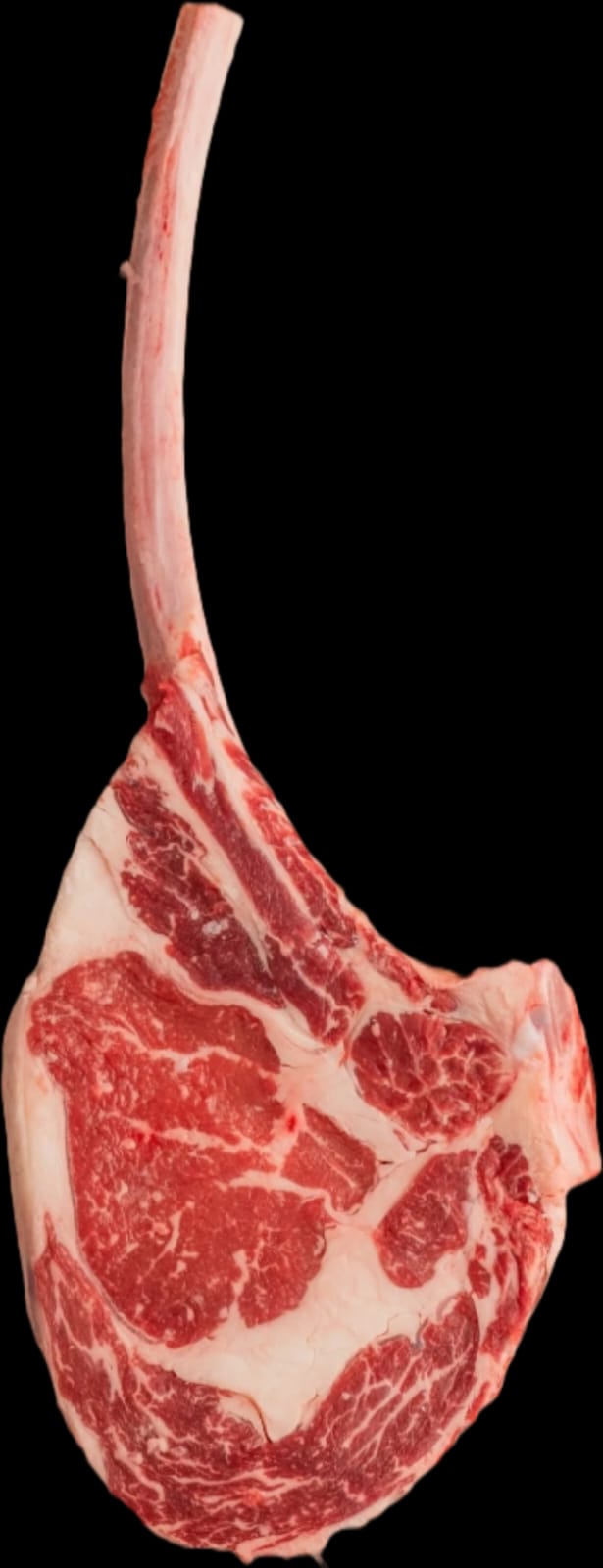 Carne selezionata Ruzza Meat